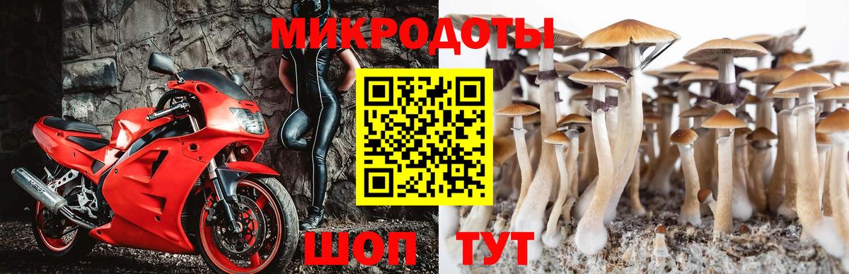 Новоалтайск  Галлюциногенные грибы мицелий  Вход с VPN 