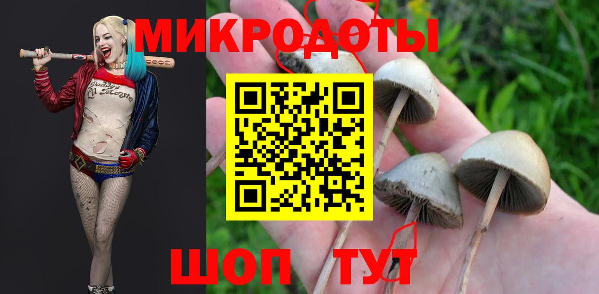 Псилоцибиновые грибы MAGIC MUSHROOMS Новоалтайск